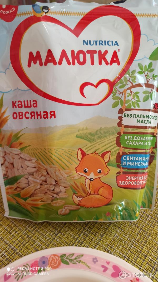 Каша овсяная безмолочная Nutricia Малютка фото