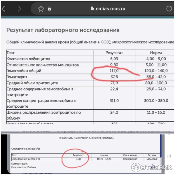 Результаты анализов крови ПОСЛЕ приема Тотема