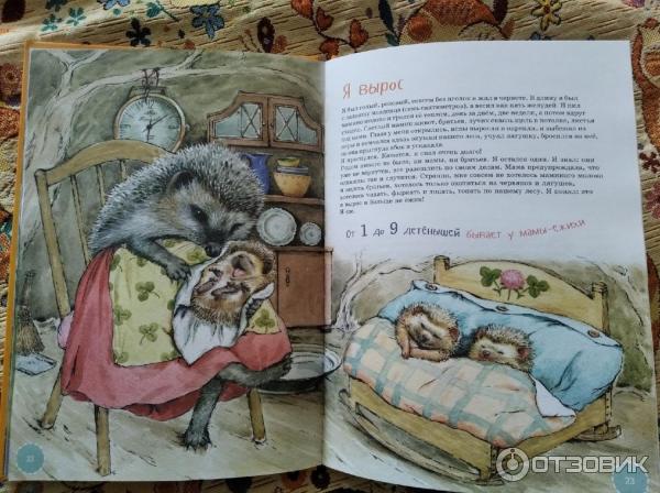 Детская книга Я еж - Майя Кучерская фото