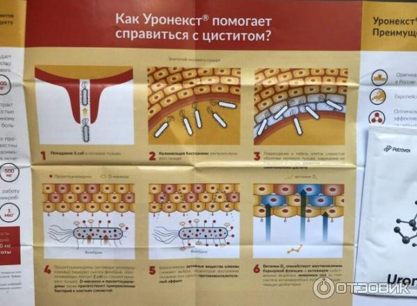 Уронекст при беременности. Препарат уронекст. Лекарства от цистита уронекст. Таблетки от цистита УРОНЕКС. Уронекст порошок.