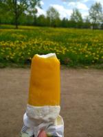 Пломбир ванильный в апельсиновой глазури "Чистая Линия" фото