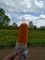 Пломбир ванильный в апельсиновой глазури "Чистая Линия" фото