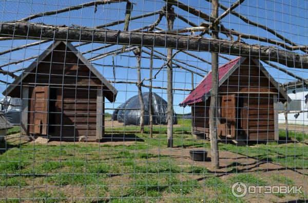 Домики для фазанов на ферме Олега Сироты