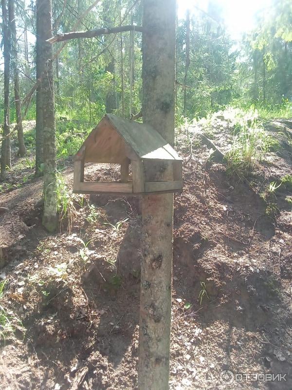 Смотровая площадка на озере Сапшо (Россия, Пржевальское) фото