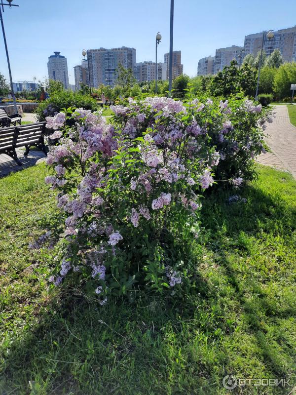 Парк Артема Боровика на Братиславской (Россия, Москва) фото