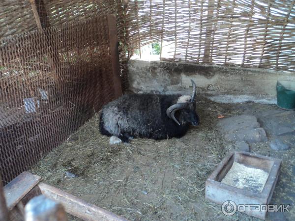 Экскурсия Медовые водопады + гора Кольцо (Россия, Ессентуки) фото