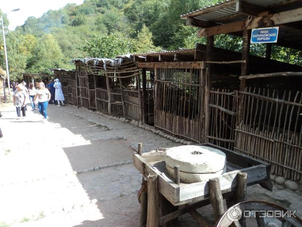 Экскурсия Медовые водопады + гора Кольцо (Россия, Ессентуки) фото