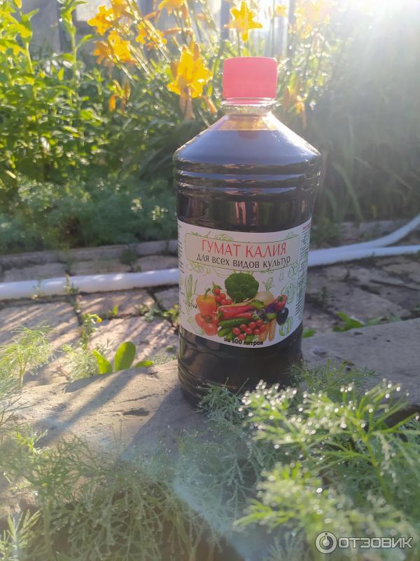 Жидкое удобрение Гумат калия ИП Рейхардт А. В фото