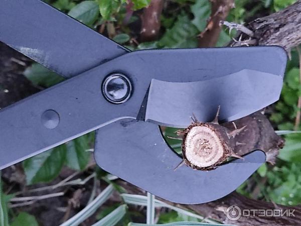 Сучкорез Fiskars