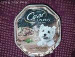 Корм для собак Cesar фото