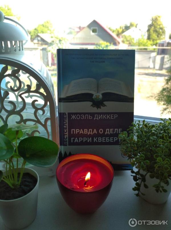 Гарри Квеберта Книга Купить