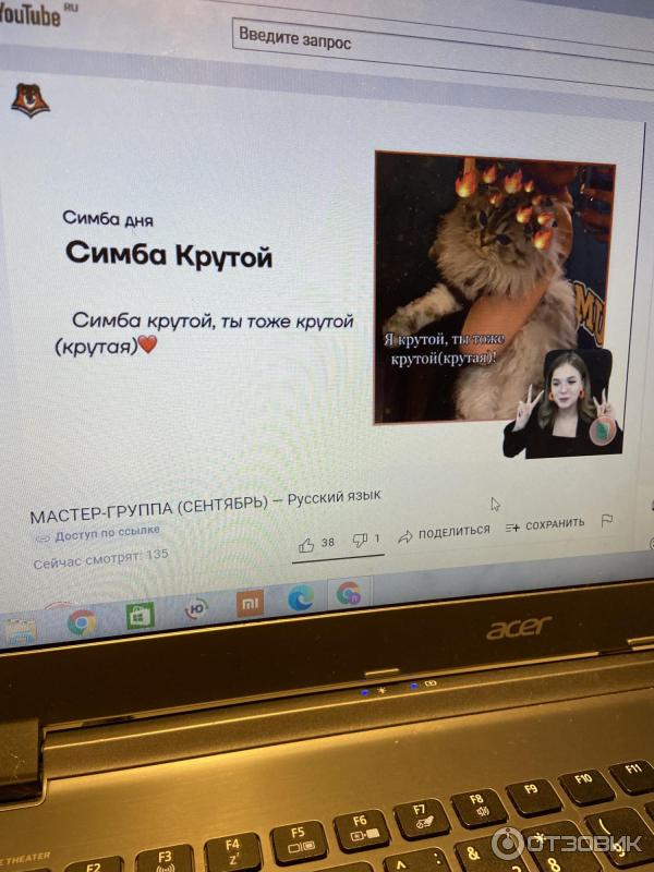 В конце каждого вебинара по русскому было пожелание от Симбы(котик Оли)