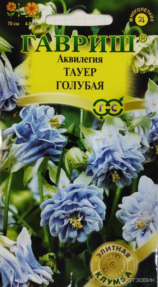 Аквилегия Купить