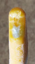 Пломбир ванильный в апельсиновой глазури "Чистая Линия" фото