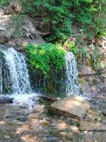 Паломническая служба "Пересвет" (Россия, Москва) фото