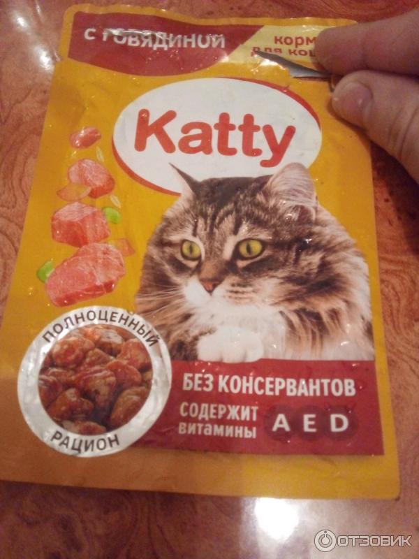 Влажный Корм Для Кошек Katty Купить