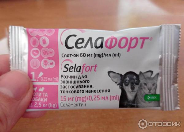 Селафорт для кошек до 2 5. Капли от блох для котят селафорт. Селафорт для котят. Капли от блох для котят 1 месяц. Селафорт капли на холку для кошек.