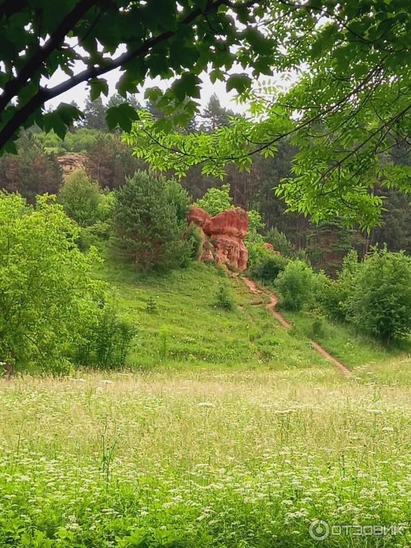 Красные каменные грибы-гиганты (Россия, Кисловодск) фото