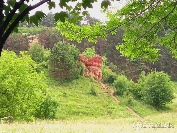 Красные каменные грибы-гиганты (Россия, Кисловодск) фото