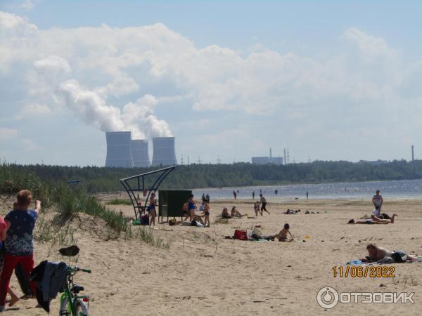 Городской пляж сосновый бор. Сосновый Бор Ленинградская область пляж. Городской пляж Сосновый Бор Ленинградская. Пляж Липово Сосновый Бор. Пляж Липово Сосновый Бор Ленинградская область.