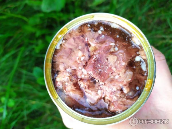 Консервы Барышский мясокомбинат Говядина тушеная фото