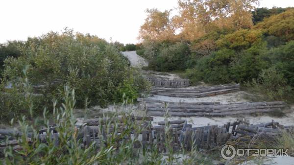 Отдых на Куршской косе (Россия, Калининградская область) фото