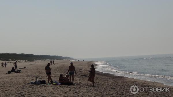 Отдых на Куршской косе (Россия, Калининградская область) фото