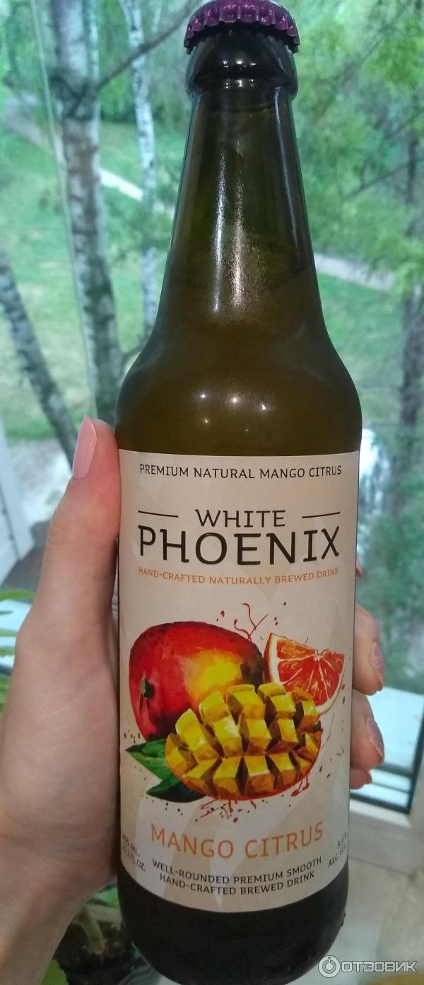 Phoenix сидр. White Phoenix медовуха. White Phoenix сидр. White Phoenix медовуха манго-цитрус. White Phoenix медовуха вкусы.