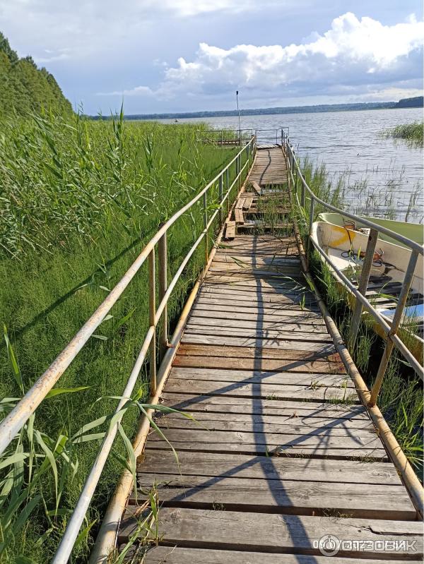 Турбаза Кот Матроскин (Россия, Выборгский район) фото