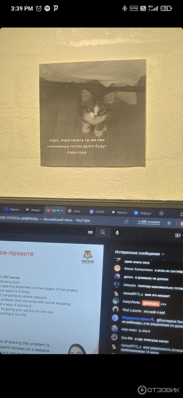 Umschool.net - онлайн школа подготовки к ЕГЭ и ОГЭ фото