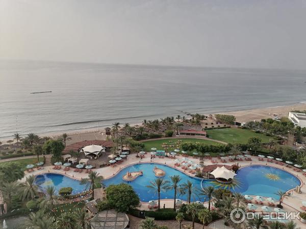 Отель Le Meridien Al Aqah Beach Resort 5* (ОАЭ, Фуджейра) фото