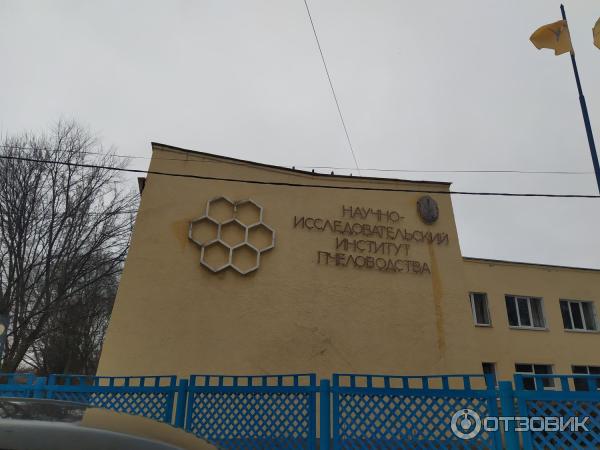 Институт пчеловодства рыбное. Институт пчеловодства рыбное
