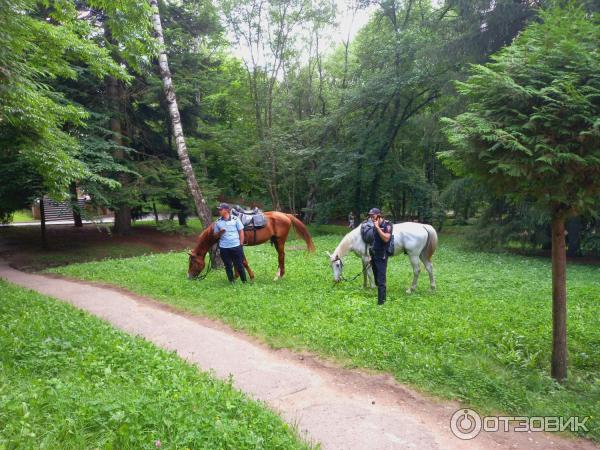 конные полицейские