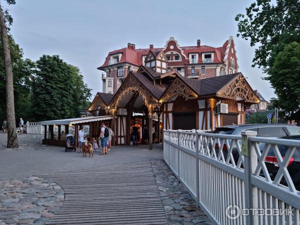 Городской парк (Россия, Зеленоградск) фото