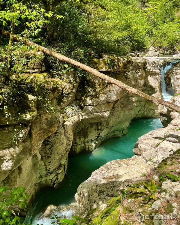 Экскурсия на Белые скалы (Россия, Краснодарский край) фото