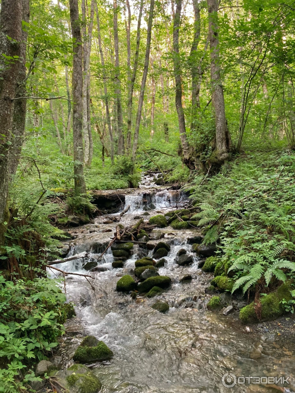 Экскурсия на Белые скалы (Россия, Краснодарский край) фото