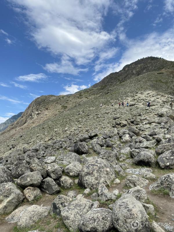 Каменные грибы на Алтае (Россия, Республика Алтай) фото