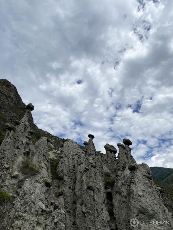 Каменные грибы на Алтае (Россия, Республика Алтай) фото