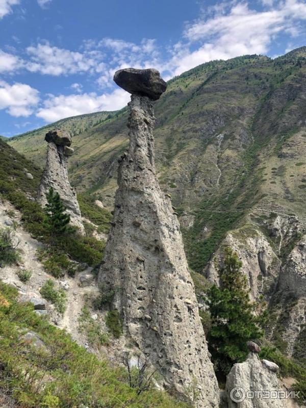 Каменные грибы на Алтае (Россия, Республика Алтай) фото