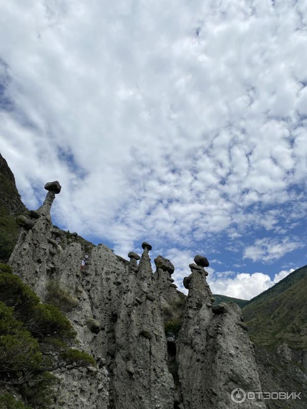 Каменные грибы на Алтае (Россия, Республика Алтай) фото