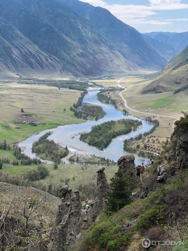 Каменные грибы на Алтае (Россия, Республика Алтай) фото