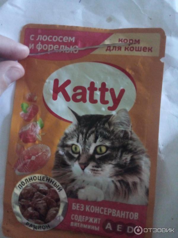 Влажный Корм Для Кошек Katty Купить