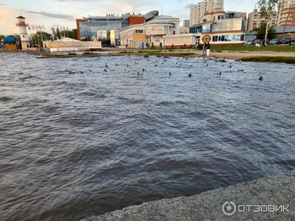 Пруд Верх-Исетский (Россия, Екатеринбург) фото