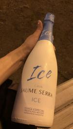 Вино игристое белое брют Cava Jaume Serra фото