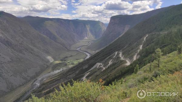 Каменные грибы на Алтае (Россия, Республика Алтай) фото