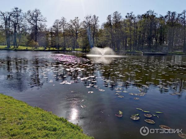 Городской парк (Россия, Зеленоградск) фото