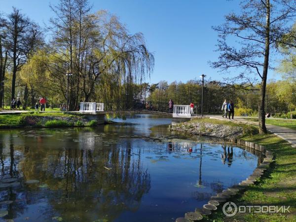 Городской парк (Россия, Зеленоградск) фото