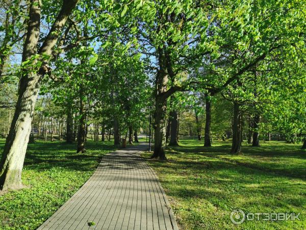 Городской парк (Россия, Зеленоградск) фото