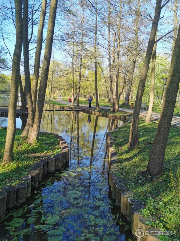 Городской парк (Россия, Зеленоградск) фото