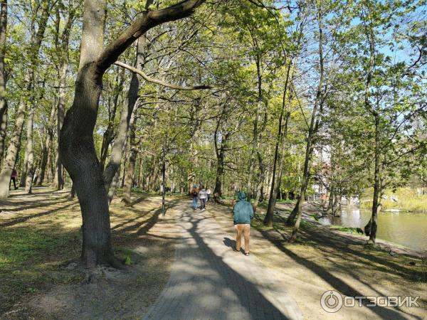 Городской парк (Россия, Зеленоградск) фото